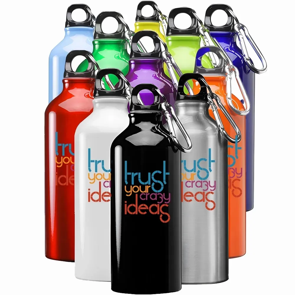 Stainless Steel Water Bottles - Custom Flying Discs