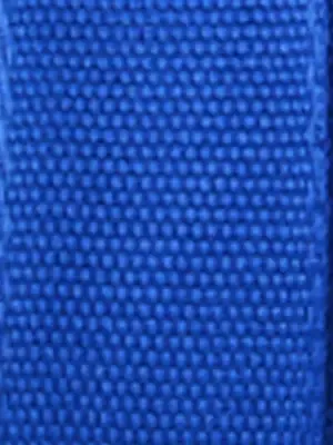 Royal Blue Royal Blue