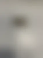 CustomFlyingDiscs.Com