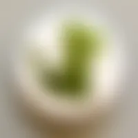 CustomFlyingDiscs.Com