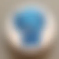 CustomFlyingDiscs.Com