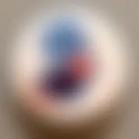 CustomFlyingDiscs.Com