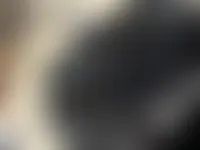 CustomFlyingDiscs.Com