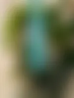 CustomFlyingDiscs.Com