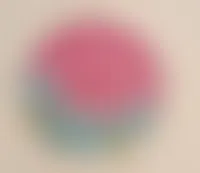 CustomFlyingDiscs.Com