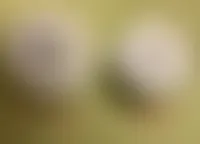 CustomFlyingDiscs.Com
