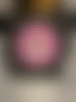 CustomFlyingDiscs.Com
