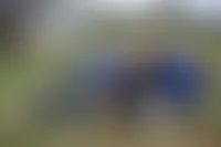 CustomFlyingDiscs.Com