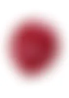 CustomFlyingDiscs.Com