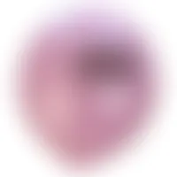CustomFlyingDiscs.Com
