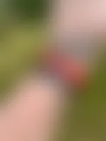 CustomFlyingDiscs.Com