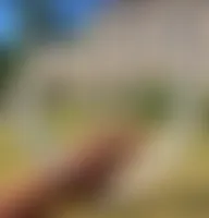 CustomFlyingDiscs.Com