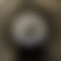 CustomFlyingDiscs.Com