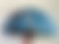 CustomFlyingDiscs.Com