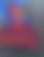 CustomFlyingDiscs.Com - Rectangle Flag