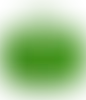 Green - Custom Flying Discs