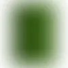 Green - Custom Flying Discs