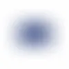Blue - Custom Flying Discs