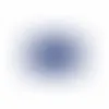 Blue - Custom Flying Discs