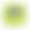 Lime Green - Custom Flying Discs