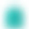 Vibrant Teal - Custom Flying Discs