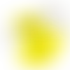 Lemon Keychain