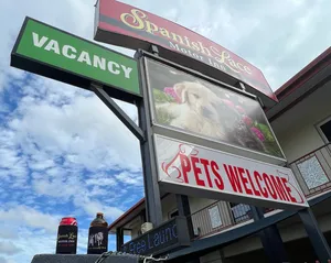 CustomFlyingDiscs.Com