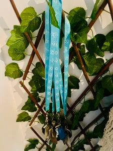 CustomFlyingDiscs.Com