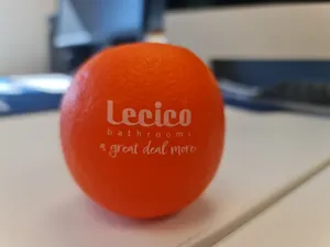 CustomFlyingDiscs.Com