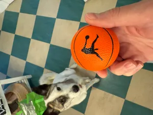 CustomFlyingDiscs.Com