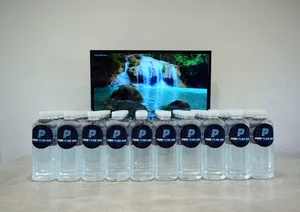 CustomFlyingDiscs.Com - Circle Stickers