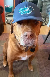 CustomFlyingDiscs.Com - Full Color TPU