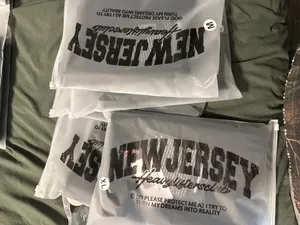 CustomFlyingDiscs.Com - Zipper Frosted Bag