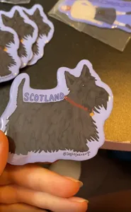 CustomFlyingDiscs.Com