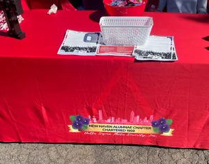 CustomFlyingDiscs.Com