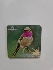 CustomFlyingDiscs.Com