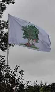 CustomFlyingDiscs.Com - Rectangle Flag