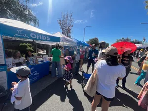 CustomFlyingDiscs.Com