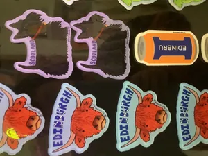 CustomFlyingDiscs.Com