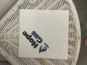 CustomFlyingDiscs.Com - Custom Paper Luncheon Napkins