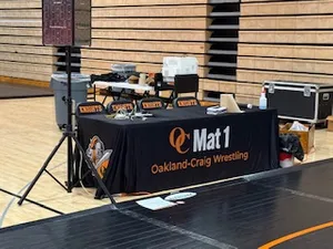 CustomFlyingDiscs.Com