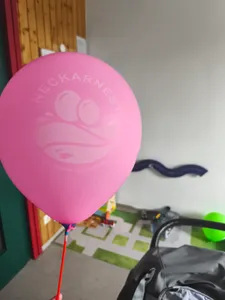 CustomFlyingDiscs.Com