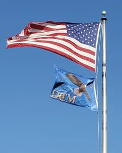 CustomFlyingDiscs.Com - Rectangle Flag