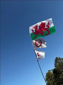 CustomFlyingDiscs.Com - Rectangle Flag