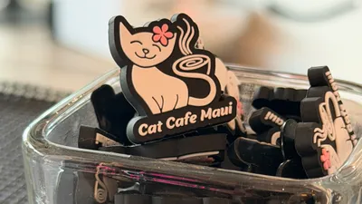 Cat Cafe Maui croc gibbet