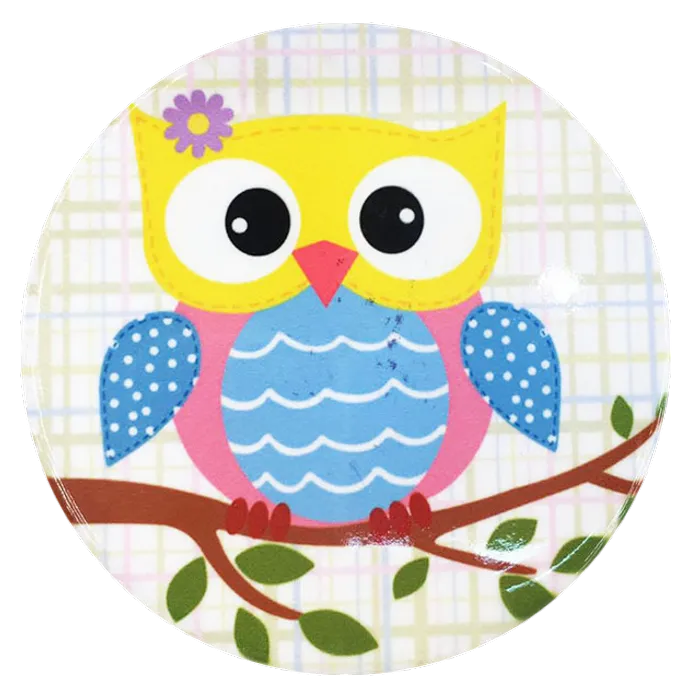 CustomFlyingDiscs.Com