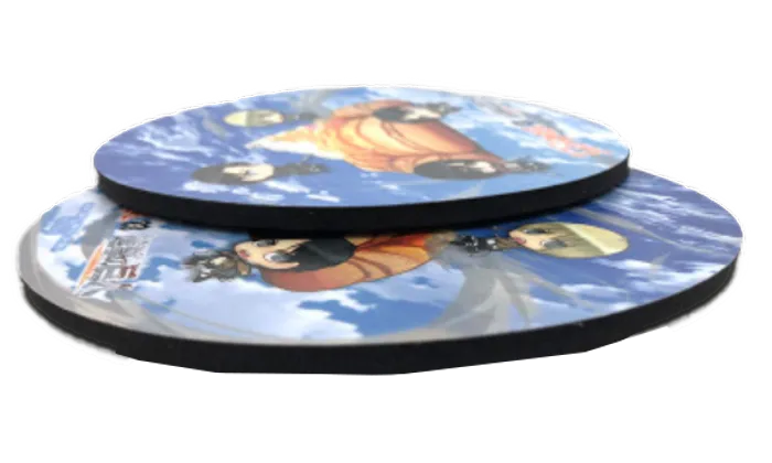 CustomFlyingDiscs.Com