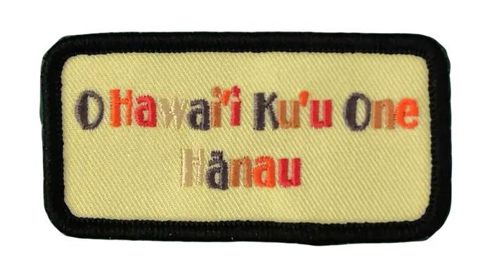 CustomFlyingDiscs.Com