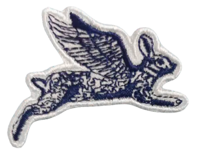 CustomFlyingDiscs.Com