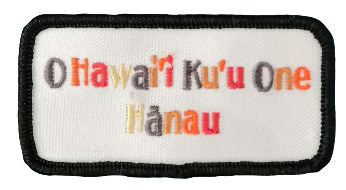 CustomFlyingDiscs.Com